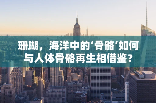 珊瑚，海洋中的‘骨骼’如何与人体骨骼再生相借鉴？