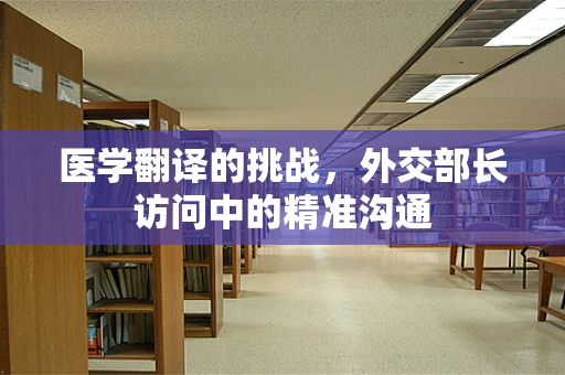 医学翻译的挑战，外交部长访问中的精准沟通