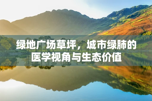 绿地广场草坪，城市绿肺的医学视角与生态价值