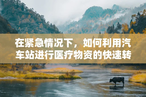 在紧急情况下，如何利用汽车站进行医疗物资的快速转运？