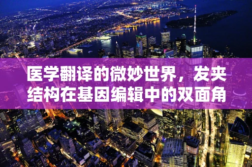 医学翻译的微妙世界，发夹结构在基因编辑中的双面角色