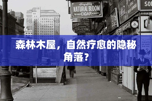 森林木屋，自然疗愈的隐秘角落？