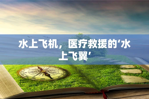 水上飞机，医疗救援的‘水上飞翼’
