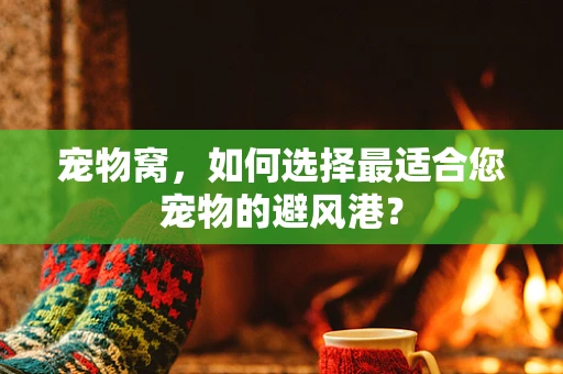 宠物窝，如何选择最适合您宠物的避风港？