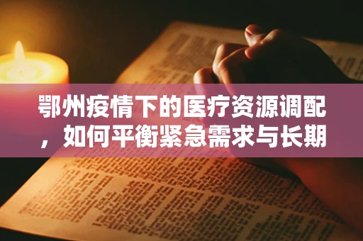 鄂州疫情下的医疗资源调配，如何平衡紧急需求与长期规划？
