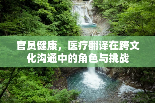 官员健康，医疗翻译在跨文化沟通中的角色与挑战