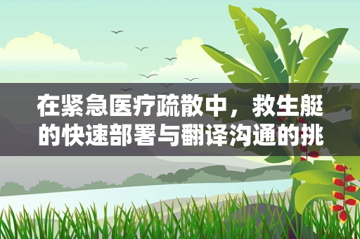 在紧急医疗疏散中，救生艇的快速部署与翻译沟通的挑战