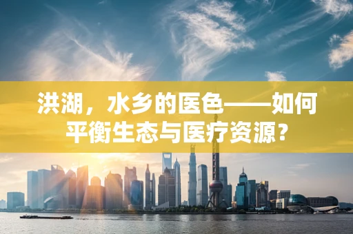 洪湖，水乡的医色——如何平衡生态与医疗资源？