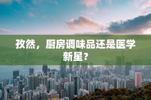 孜然，厨房调味品还是医学新星？