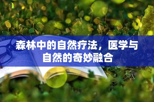 森林中的自然疗法，医学与自然的奇妙融合