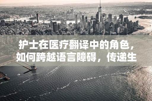 护士在医疗翻译中的角色，如何跨越语言障碍，传递生命之桥？