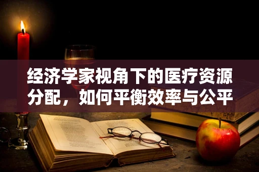 经济学家视角下的医疗资源分配，如何平衡效率与公平？