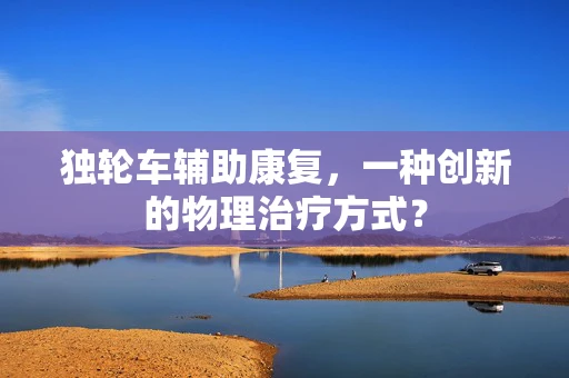 独轮车辅助康复，一种创新的物理治疗方式？