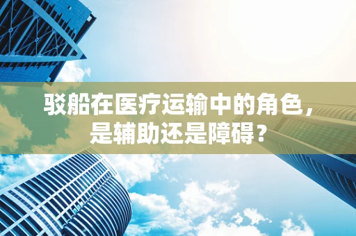 驳船在医疗运输中的角色，是辅助还是障碍？