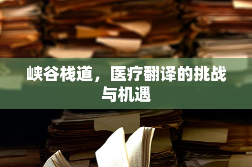 峡谷栈道，医疗翻译的挑战与机遇