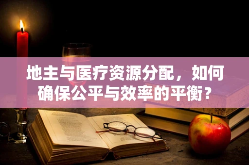 地主与医疗资源分配，如何确保公平与效率的平衡？