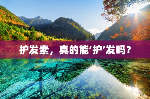 护发素，真的能‘护’发吗？