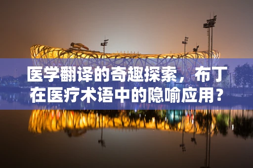医学翻译的奇趣探索，布丁在医疗术语中的隐喻应用？