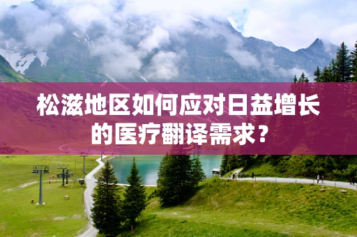 松滋地区如何应对日益增长的医疗翻译需求？