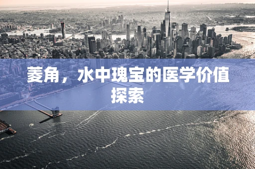 菱角，水中瑰宝的医学价值探索