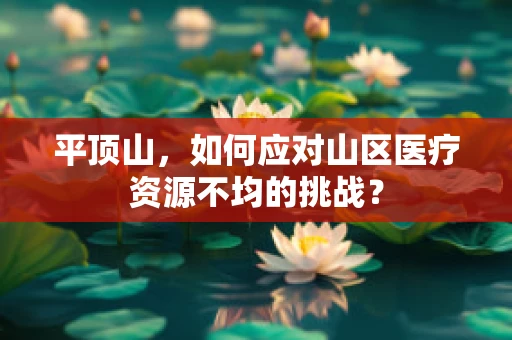 平顶山，如何应对山区医疗资源不均的挑战？
