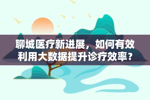 聊城医疗新进展，如何有效利用大数据提升诊疗效率？