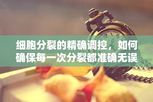 细胞分裂的精确调控，如何确保每一次分裂都准确无误？
