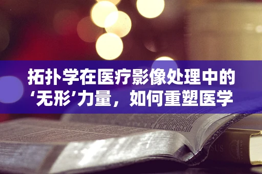 拓扑学在医疗影像处理中的‘无形’力量，如何重塑医学图像的‘空间维度’？