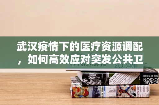 武汉疫情下的医疗资源调配，如何高效应对突发公共卫生事件？