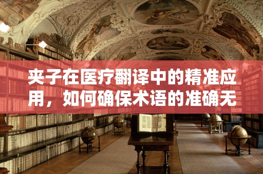 夹子在医疗翻译中的精准应用，如何确保术语的准确无误？