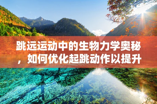 跳远运动中的生物力学奥秘，如何优化起跳动作以提升成绩？