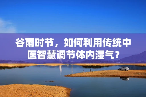 谷雨时节，如何利用传统中医智慧调节体内湿气？