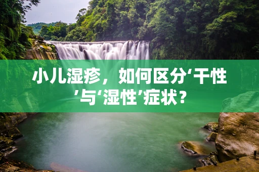小儿湿疹，如何区分‘干性’与‘湿性’症状？