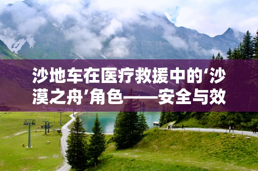 沙地车在医疗救援中的‘沙漠之舟’角色——安全与效率的双重考量