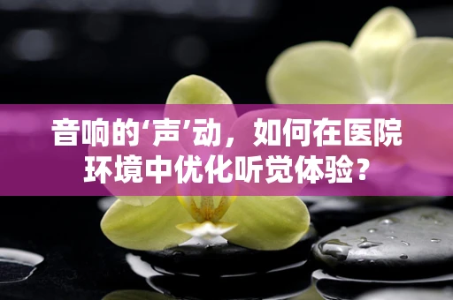 音响的‘声’动，如何在医院环境中优化听觉体验？