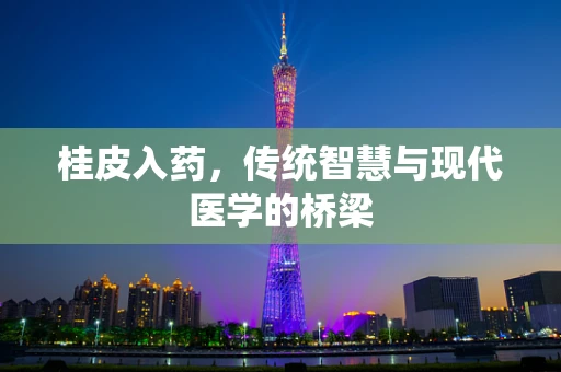 桂皮入药，传统智慧与现代医学的桥梁
