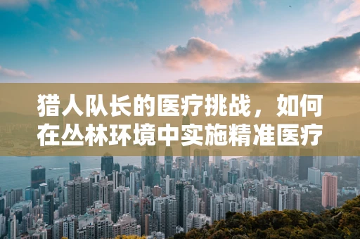猎人队长的医疗挑战，如何在丛林环境中实施精准医疗翻译？