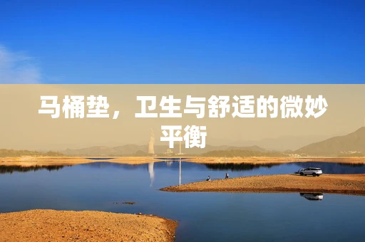 马桶垫，卫生与舒适的微妙平衡