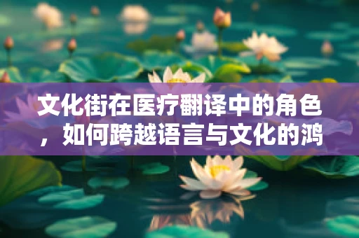 文化街在医疗翻译中的角色，如何跨越语言与文化的鸿沟？