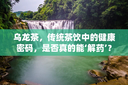 乌龙茶，传统茶饮中的健康密码，是否真的能‘解药’？