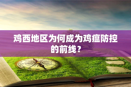 鸡西地区为何成为鸡瘟防控的前线？