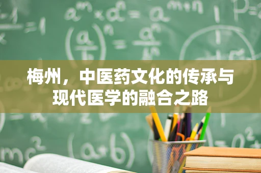 梅州，中医药文化的传承与现代医学的融合之路