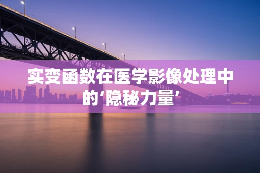 实变函数在医学影像处理中的‘隐秘力量’