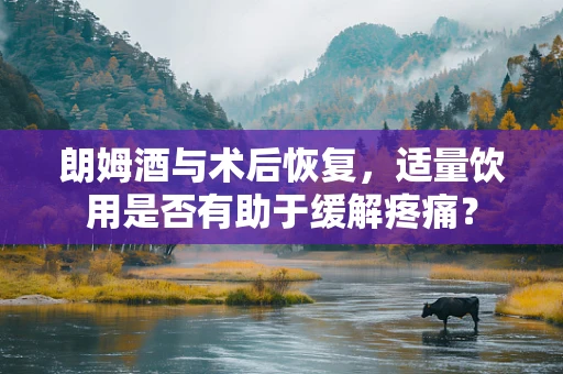朗姆酒与术后恢复，适量饮用是否有助于缓解疼痛？