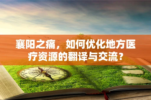 襄阳之痛，如何优化地方医疗资源的翻译与交流？