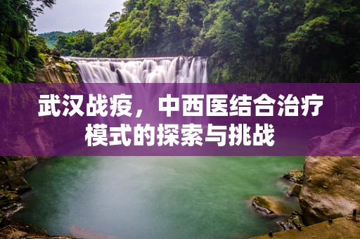 武汉战疫，中西医结合治疗模式的探索与挑战