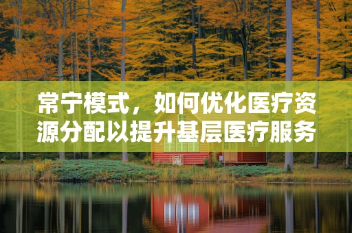 常宁模式，如何优化医疗资源分配以提升基层医疗服务？