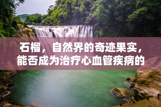 石榴，自然界的奇迹果实，能否成为治疗心血管疾病的‘红色良药’？