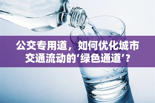 公交专用道，如何优化城市交通流动的‘绿色通道’？
