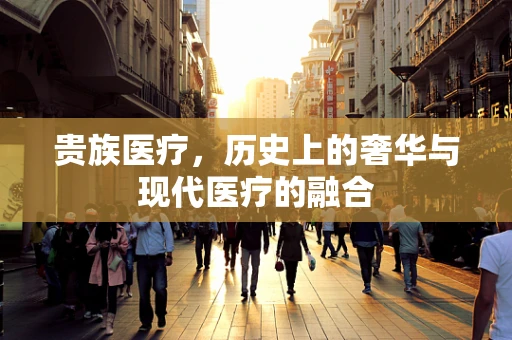 贵族医疗，历史上的奢华与现代医疗的融合